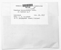 Image Associated With the Occurence